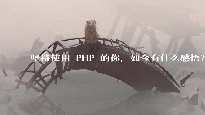 坚持使用 PHP 的你，如今有什么感悟？