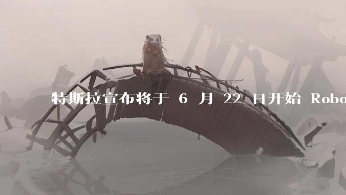 特斯拉宣布将于 6 月 22 日开始 Robotaxi 公开试运营，这将对自动驾驶行业带来哪些影响？