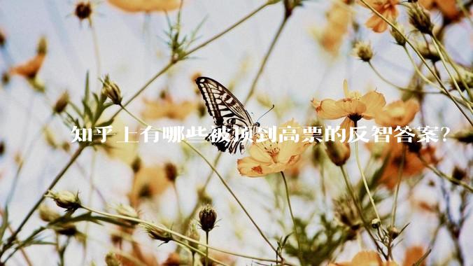 知乎上有哪些被顶到高票的反智答案？