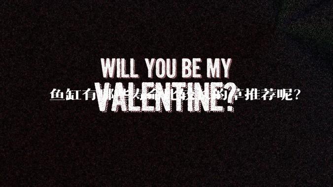 鱼缸有哪些寿命比较长的草推荐呢？