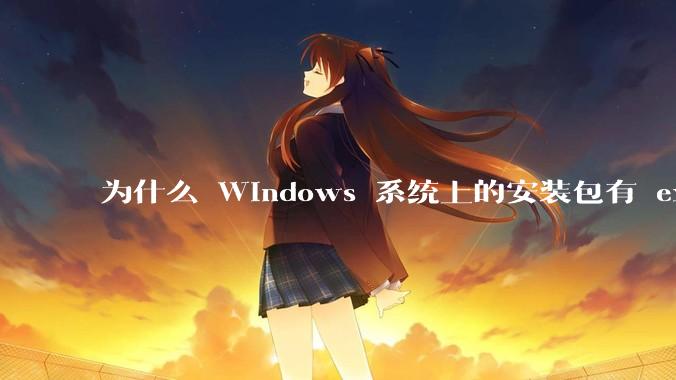 为什么 Windows 系统上的安装包有 exe 和 msi 两种格式，有什么区别？
