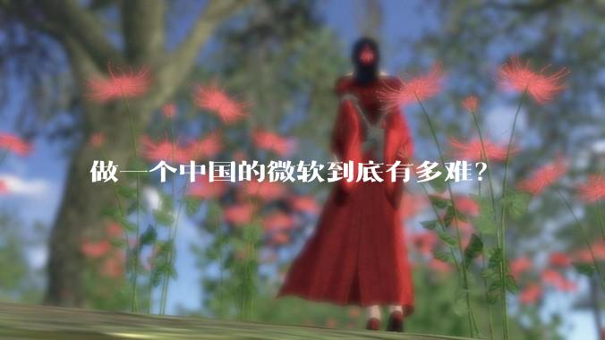 做一个中国的微软到底有多难？