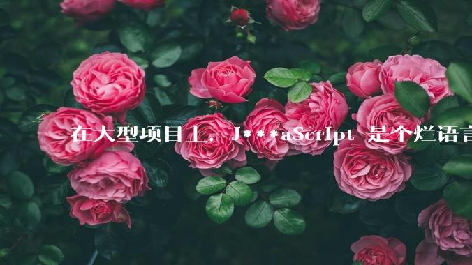 在大型项目上，J***aScript 是个烂语言吗？